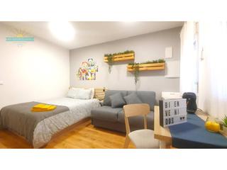 Estudio en Carnicer