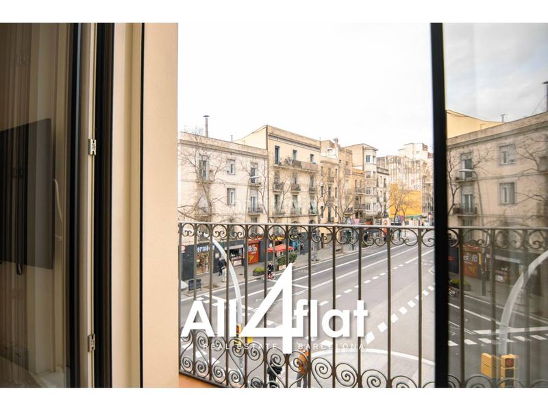 Foto 730611dd-bee2-453b-8e42-dc4524c13bec. Pis a Hostafrancs Barcelona