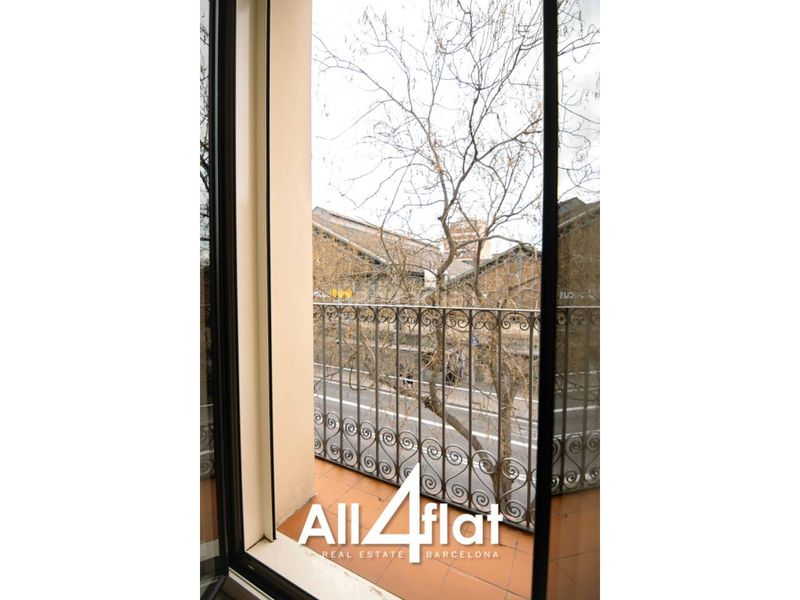 Foto a1398764-a2fe-48f7-8231-ef0ab5152e04. Pis a Hostafrancs Barcelona