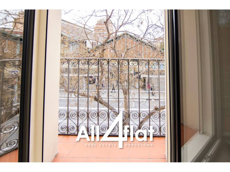 Foto efcc161d-f052-4e8a-bc6e-fabb6e880513. Pis a Hostafrancs Barcelona