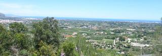 Residential Plot in Pedreguer