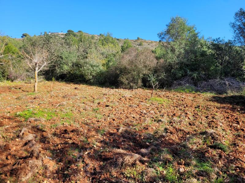 Foto 80d9e625-fd44-446b-8329-6d0738d0ea22. Terreny residencial a El Montgó Dénia