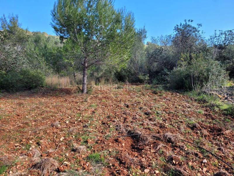 Foto d0349dd9-b389-4b26-baed-313e90ed1ede. Terreny residencial a El Montgó Dénia