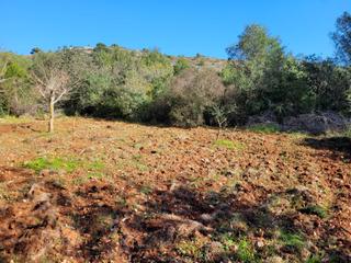 Residential Plot in El Montgó