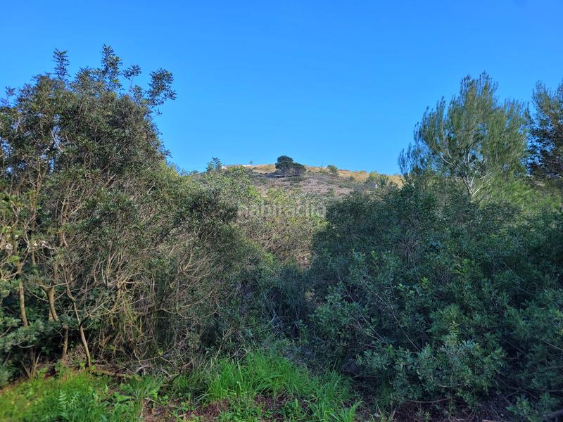 Foto 38569072-a7c3-4a03-b885-25790fb7d1a6. Terreno residenziale in El Montgó Dénia