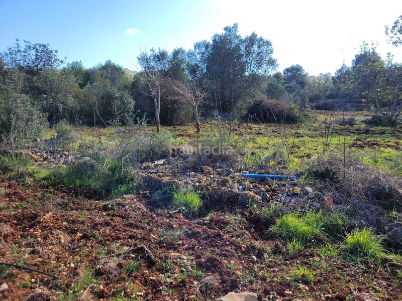 Foto a9210c8a-94ec-4c68-be74-566a19b6f80f. Terreno residenziale in El Montgó Dénia