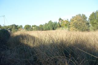 Terrain résidentiel à Poblets (els)