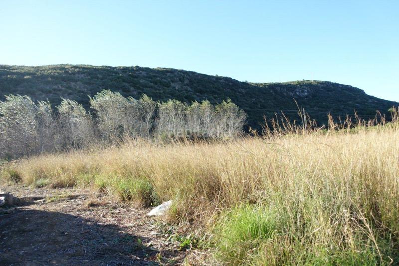 Foto 763b075d-816d-47e9-ad37-c2f6081b7712. Terreny residencial a Verger (el)