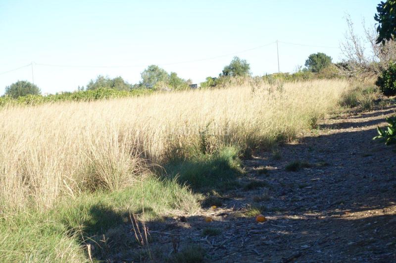 Foto d260409d-fe0e-461f-9599-1b954f26aee1. Terreno residenziale in Verger (el)