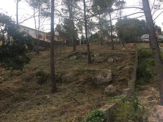 Solar industrial  Sant sadurní. Solar en venta en subirats