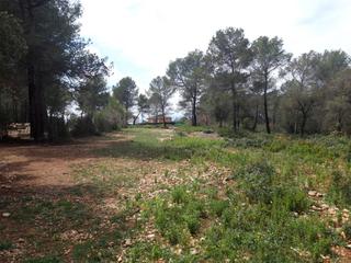 Finca rústica  Polígon 57. Terreno rústico en venta en subirats