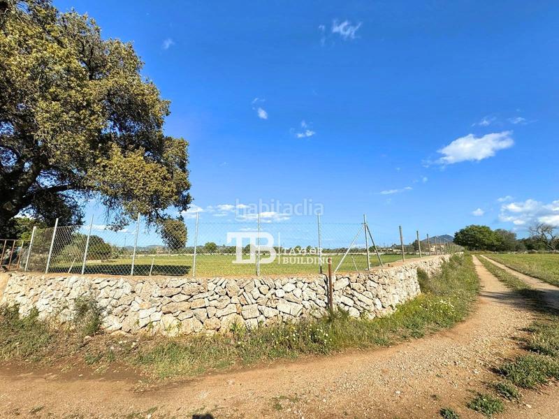 Foto ad604368-b848-4d5a-b175-2d4e73365709. Casa con parcheggio in Felanitx poble Felanitx