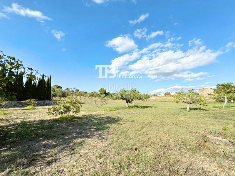 Foto bccd2c46-b7ff-4274-9dff-4ff9d15023db. Casa con parcheggio in Establiments Palma de Mallorca