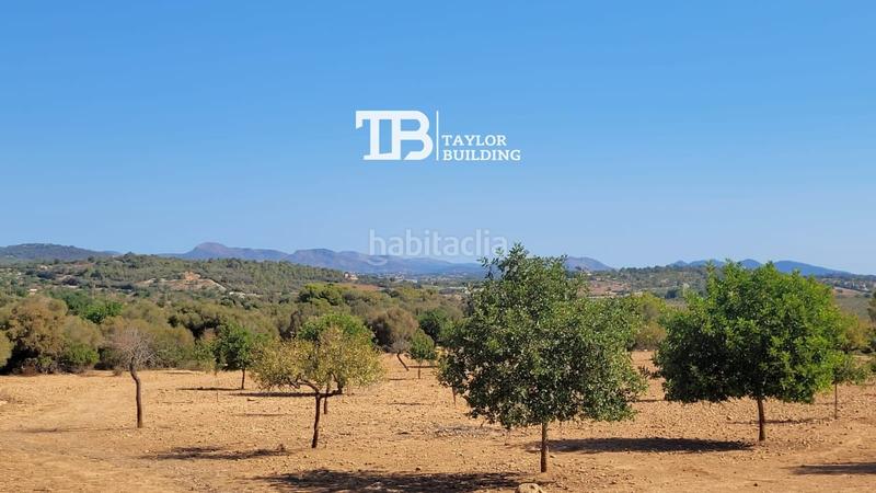 Foto 0c483cae-e7c6-4b79-aa50-8b7426e0228b. Terreno residenziale in Manacor centre Manacor