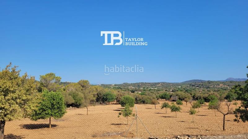 Foto 9e9dc5b0-6662-4a18-8283-d9337d581e10. Terreno residenziale in Manacor centre Manacor