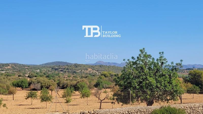 Foto ab77c446-df1d-40a3-9e6d-a65d45018e47. Terreno residenziale in Manacor centre Manacor