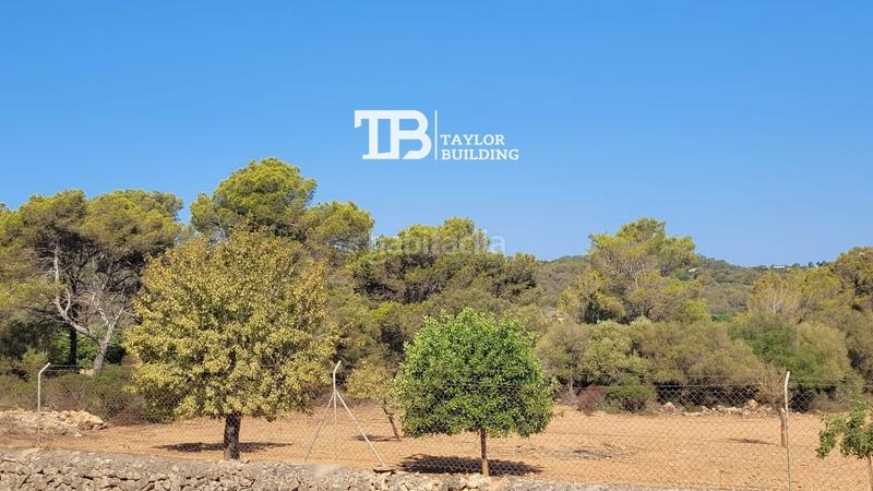 Foto e9dab9c1-f164-4337-af38-a0b89565af77. Terreno residenziale in Manacor centre Manacor