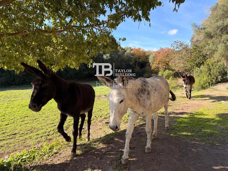 Foto 06c0a0c2-45b0-4b40-af21-a6aa3318a643. Casa amb calefacció aparcament piscina a Zona d´Interior Son Servera