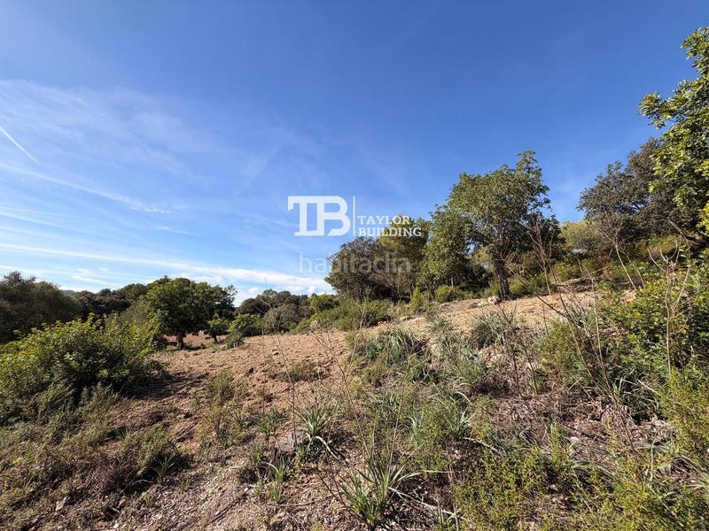 Foto 6afdff47-31da-4155-89e5-9163c7d3b757. Casa amb calefacció aparcament piscina a Zona d´Interior Son Servera