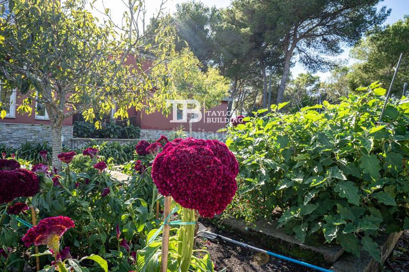 Foto fffe9e18-d2df-42cc-b6f0-ba6c3bf2b0ca. Casa amb calefacció aparcament piscina a Zona d´Interior Son Servera