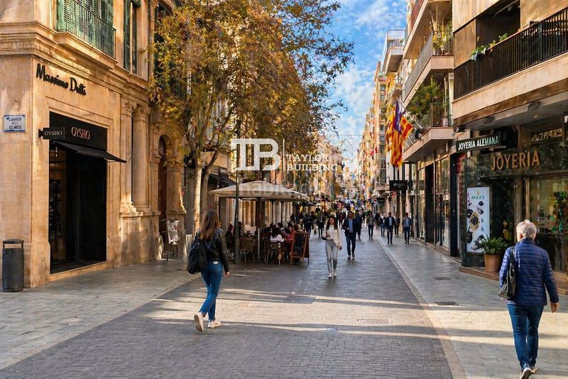 Foto 1d574ca9-0bc5-4b4f-9aff-bb558956683d. Pis amb calefacció a La Missió Palma de Mallorca