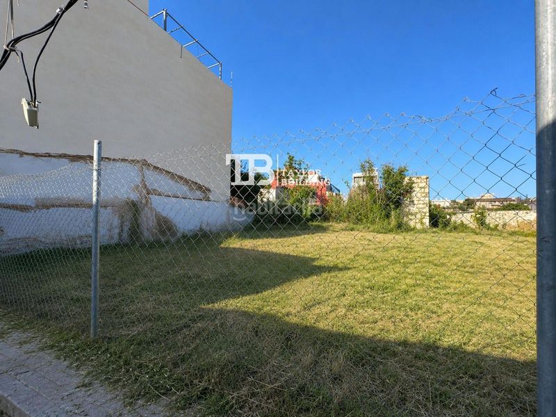 Foto 594746d6-381c-4f97-8955-e579a2b1dd78. Finca rústica a Polígon de Llevant Palma de Mallorca