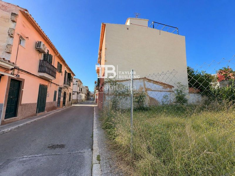 Foto 8f03c834-50cf-4f89-93ce-32a381113d78. Finca rústica a Polígon de Llevant Palma de Mallorca