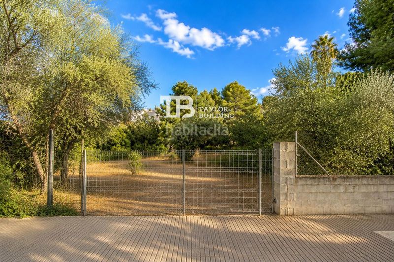 Foto 014f7352-64fa-49e7-99a7-8e1be09ca749. Finca rústica a Magaluf Calvià