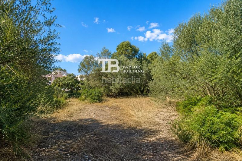 Foto a88b5241-6070-47c7-bfc2-4fa5b3564cde. Finca rústica a Magaluf Calvià