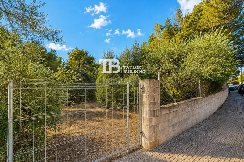 Foto ca638683-ffc9-4450-b11b-ed7dce9e67bd. Finca rústica a Magaluf Calvià