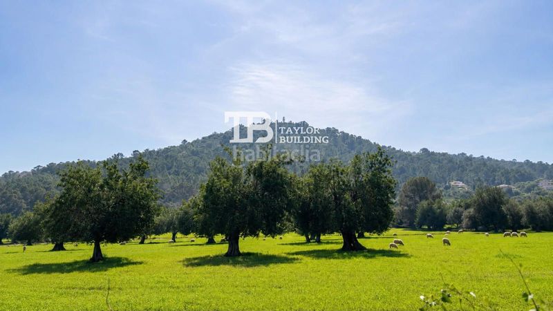 Foto 862088d9-e516-499b-a59b-f00c9b34441c. Finca rústica a Selva