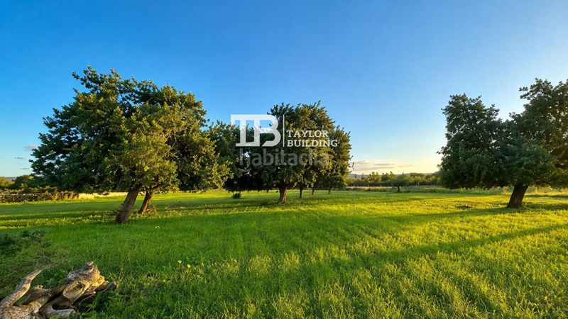Foto ca067f36-a3b4-47c8-9dc0-ffbfb48499b4. Finca rústica a Selva