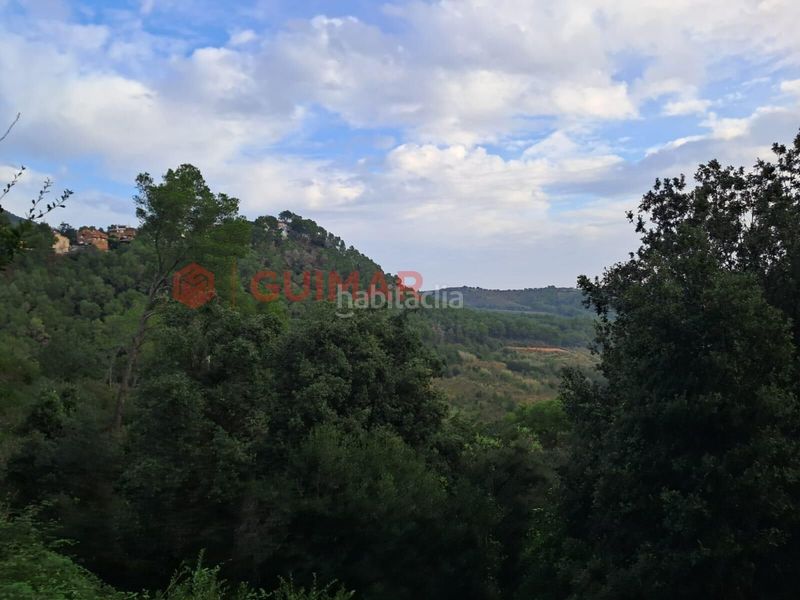 Foto 2b504516-58d8-4a72-8ff6-d41e0a1ee2ca. Finca rústica a Torrelles de Llobregat