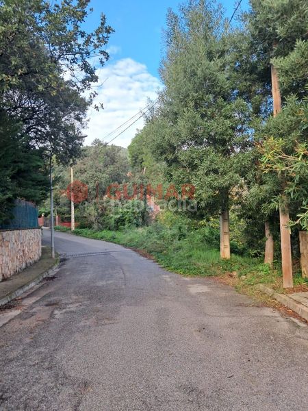 Foto 474363d9-43d4-4c17-8a83-6c459dfa4f8c. Finca rústica a Torrelles de Llobregat