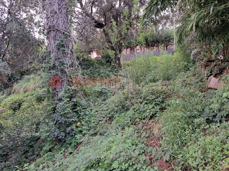 Foto 4d9c7404-eef1-4102-a3d5-d96f2bb82b97. Finca rústica a Torrelles de Llobregat
