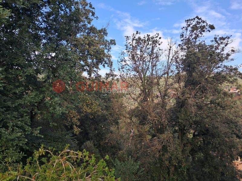 Foto 5f21e41f-0eda-4a17-9e8a-07a7e98834f3. Finca rústica a Torrelles de Llobregat