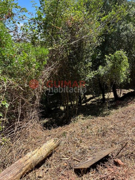 Foto ac3aec8c-4f94-4896-b3cb-bb0a2bcee676. Finca rústica a Torrelles de Llobregat
