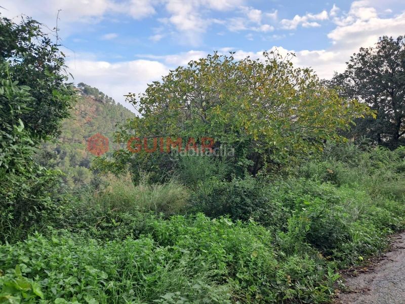 Foto b47aee70-4604-4303-ad33-7350d10c3b75. Finca rústica a Torrelles de Llobregat