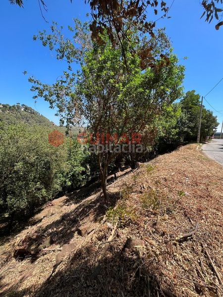 Foto c7f846d0-9fbd-4d1e-b6b5-8cfd27a85d4d. Finca rústica a Torrelles de Llobregat