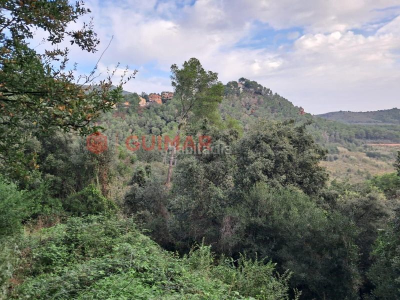 Foto d3f982f0-4e42-46bb-8b11-4b1ab7aafa37. Finca rústica a Torrelles de Llobregat