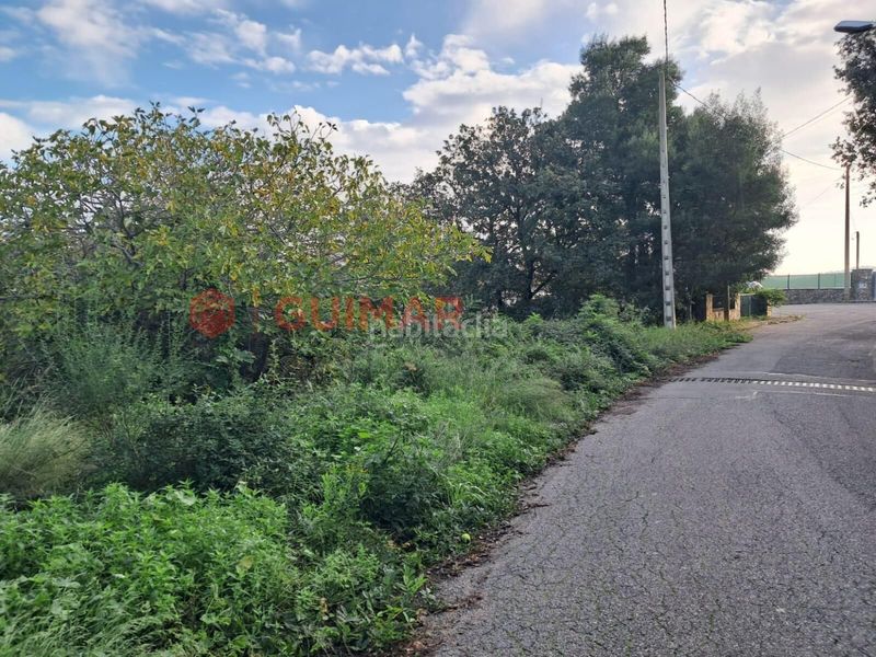 Foto d45f0df3-84a8-491d-9822-184052533adf. Finca rústica a Torrelles de Llobregat
