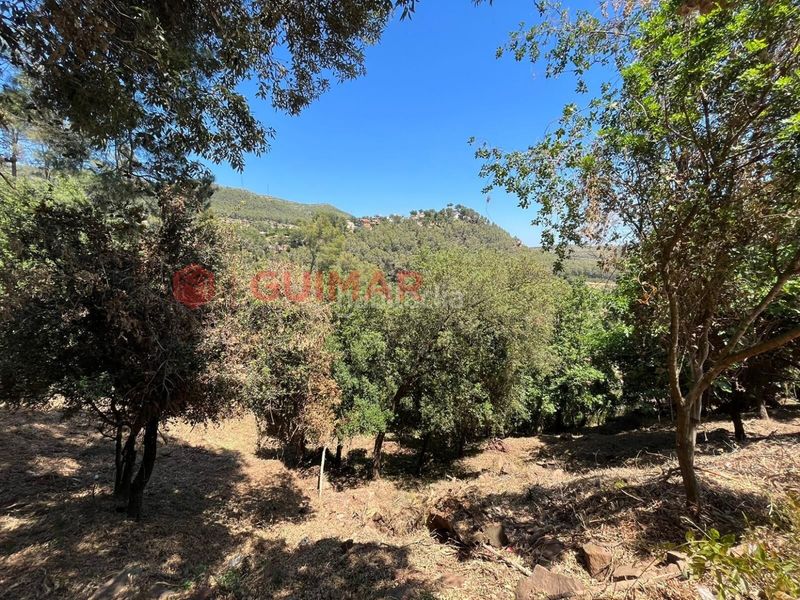Foto dcdf3131-2154-4e8b-8f4b-996141da6961. Finca rústica a Torrelles de Llobregat