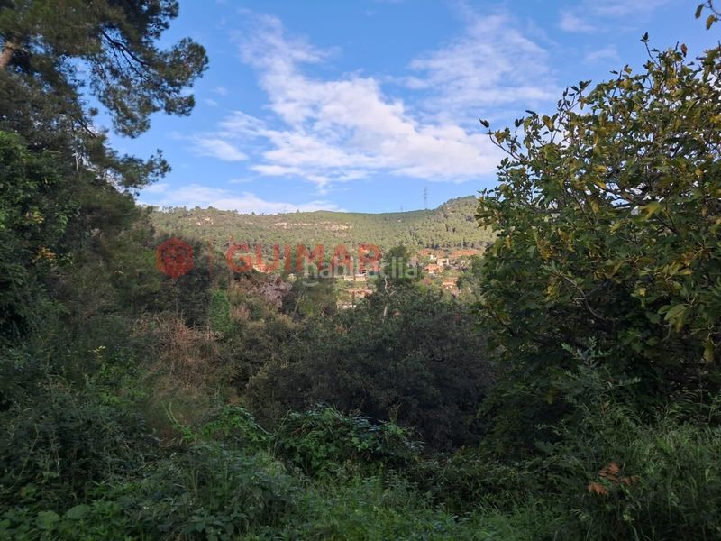 Foto e15506b8-d503-4466-97f7-07ff38e1b2c2. Finca rústica a Torrelles de Llobregat