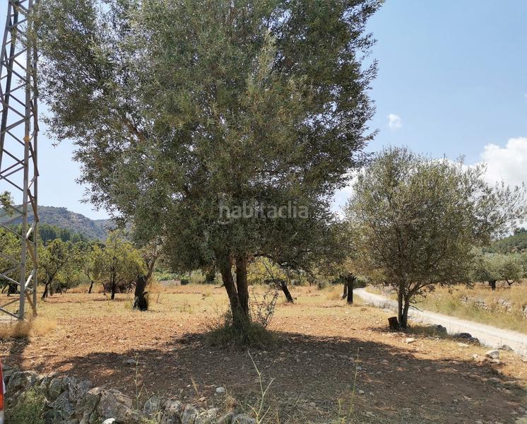 Foto 5c45e159-57ca-4d42-815d-93acccdc9638. Finca rústica a Orba