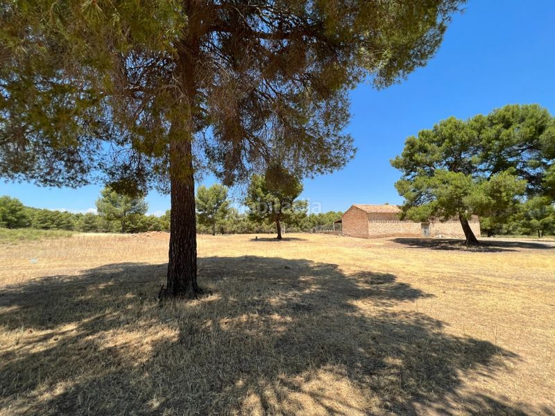 Foto 200d0ea4-a890-410f-bc5b-9070c25acbe5. Finca rústica a Férez