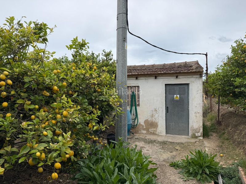 Foto 0d841e15-72ad-416f-ad19-acc63fd231ff. Finca rústica a San Miguel de Salinas