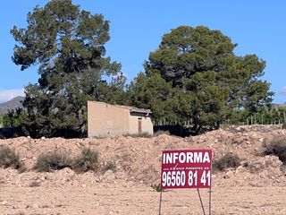 Xalet  Partida pol�gono 26 parcela 139 casa sala. novelda (alica. Parcela con casita a mil metros del pueblo