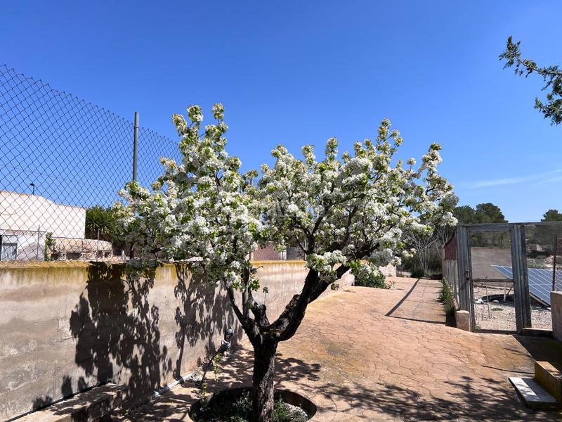 Foto a666a6c5-1d93-4790-a4aa-a151caa4d526. Mas avec chauffage parking piscine dans Monòver