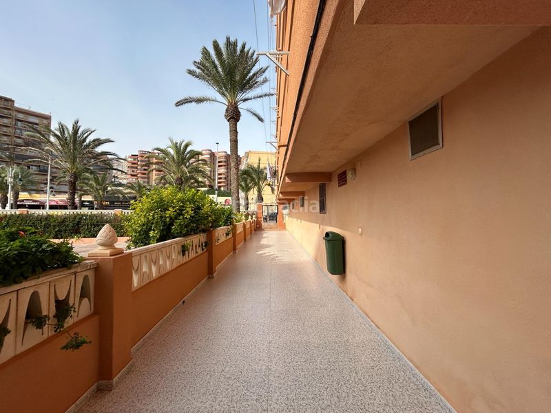 Foto 80bb319b-2278-41d3-804b-6503d707f093. Apartament amb aparcament a Los Arenales del Sol Elche / Elx