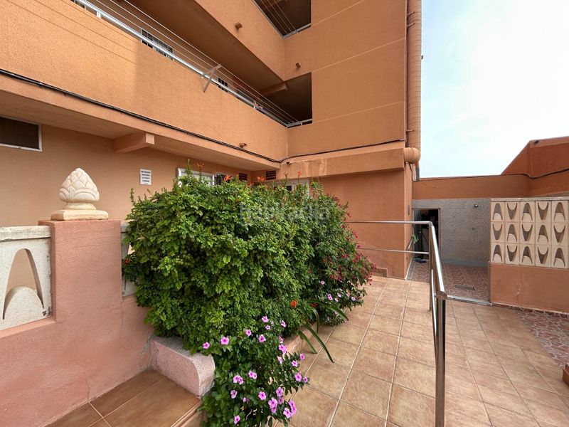 Foto c810efc7-49cb-4fa1-ba75-1fd93b4007ac. Apartament amb aparcament a Los Arenales del Sol Elche / Elx